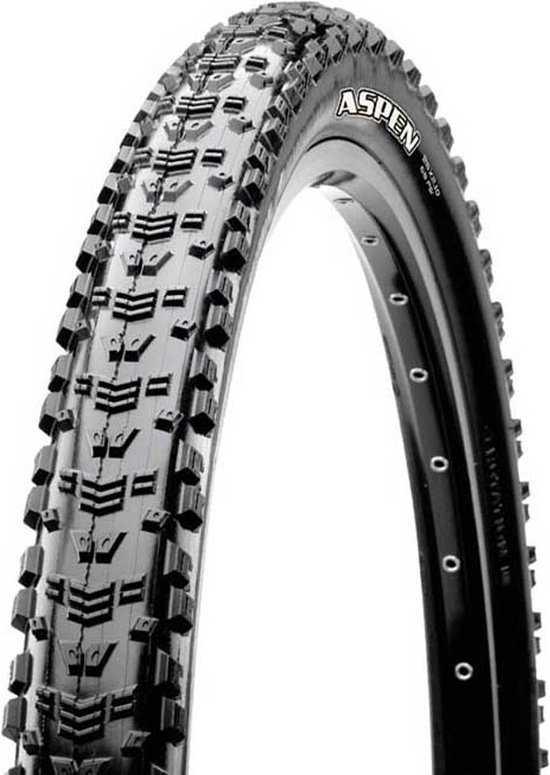 Maxxis Aspen